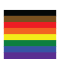 Image of a rainbow flag with the colours black, brown, red, orange, yellow, green, blue and purple.
