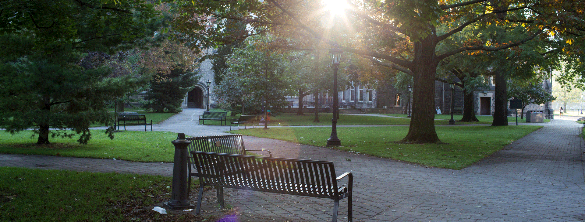 Parkette on campus with the sun shining through trees