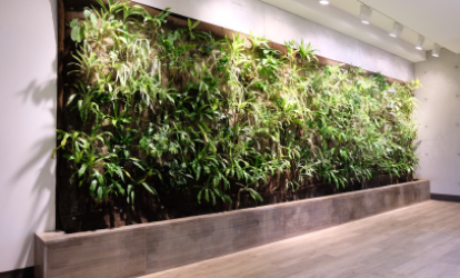 Photograph of the living wall of greenery and plants, inside the meditation room.