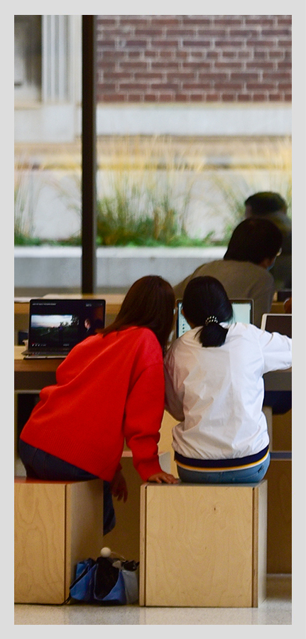 Two people studying in an open space. One leans over to look at the others screen. Seen with their backs to the camera.