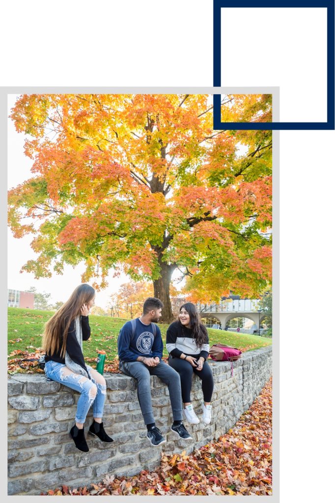 Three students sitting on stone wall with tree in the background during fall