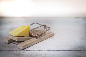A brown wooden mouse trap loaded with a small piece of cheese as bait.