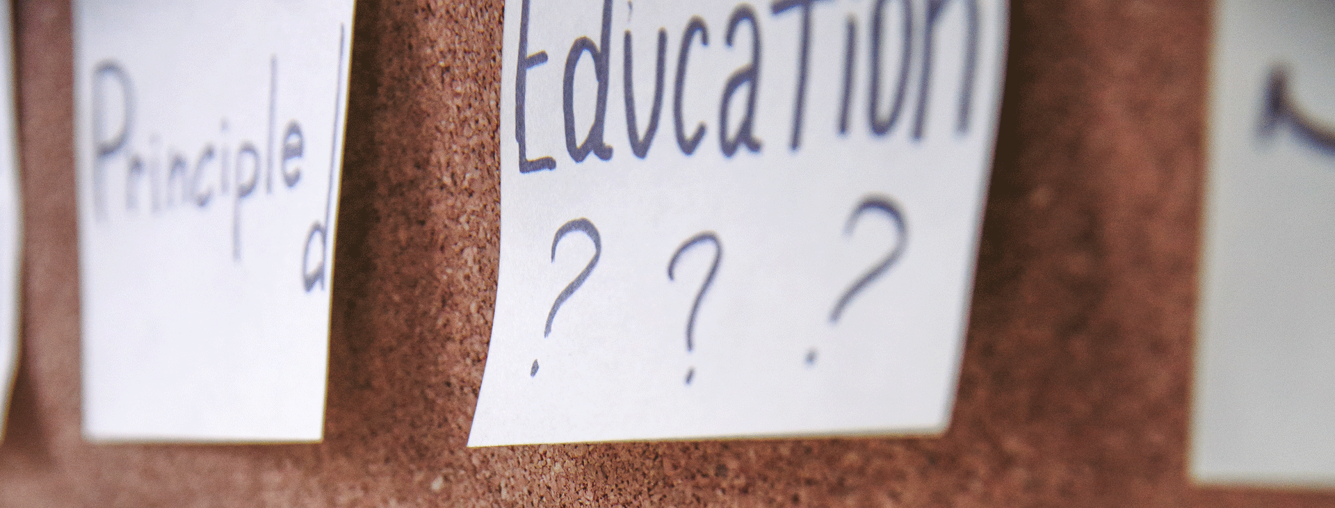 Paper with Education ??? written on it andpinned to a corkboard
